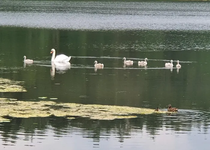 Prázdninový dům Gaj-raj